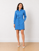 Demi Cotton Formal Shirt Dress